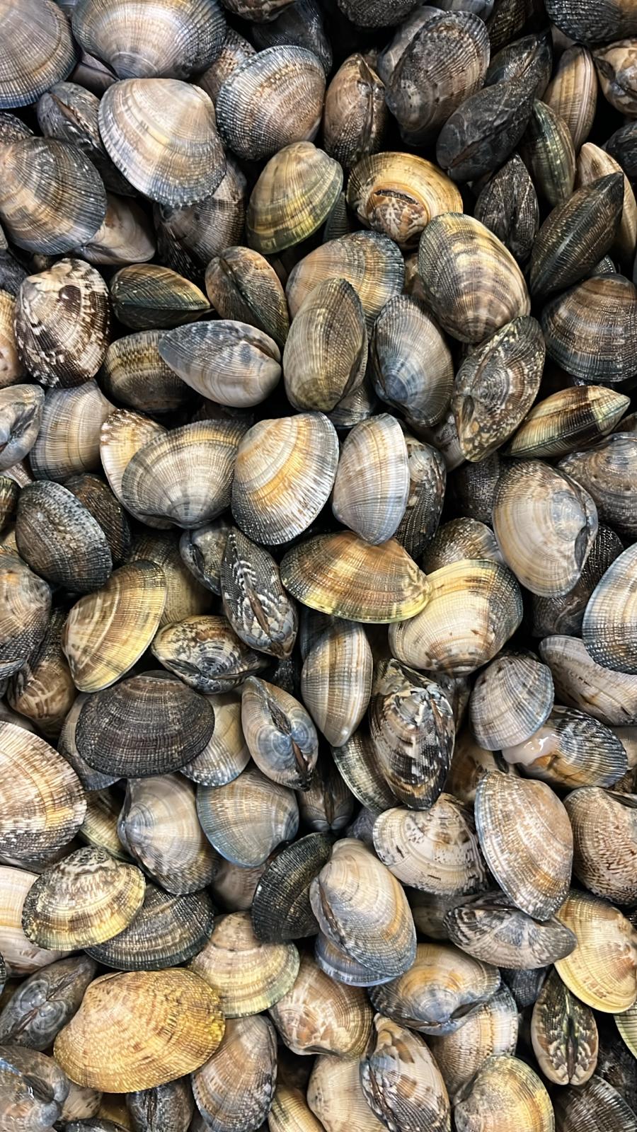 Almejas