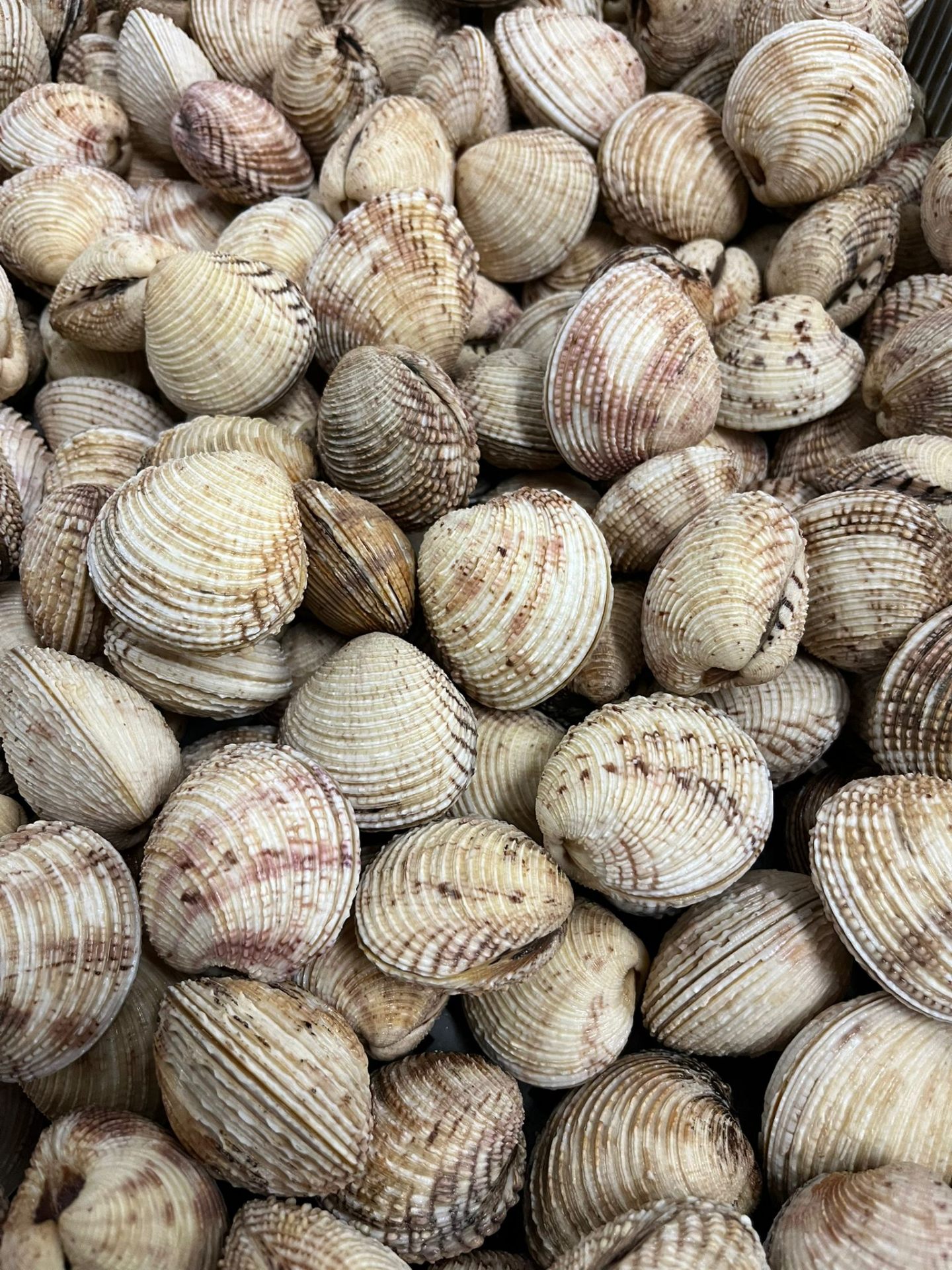 Escupiñas