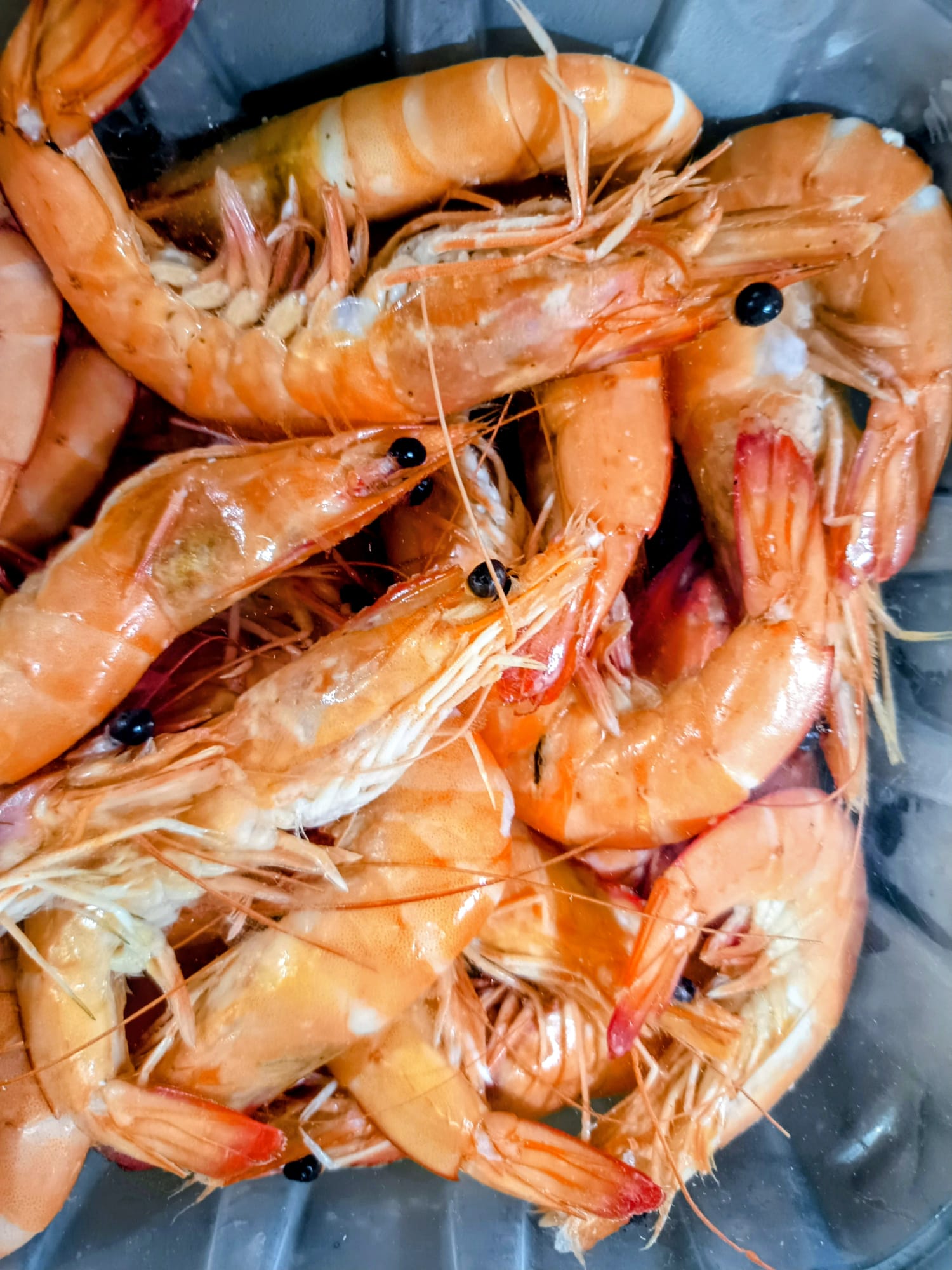 Langostinos Blancos